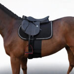 Horse Guard Horse Sensitive Bandage Bauchschutz