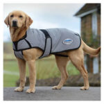 Weatherbeeta Hundemantel Reflective