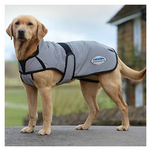 Weatherbeeta Hundemantel Reflective