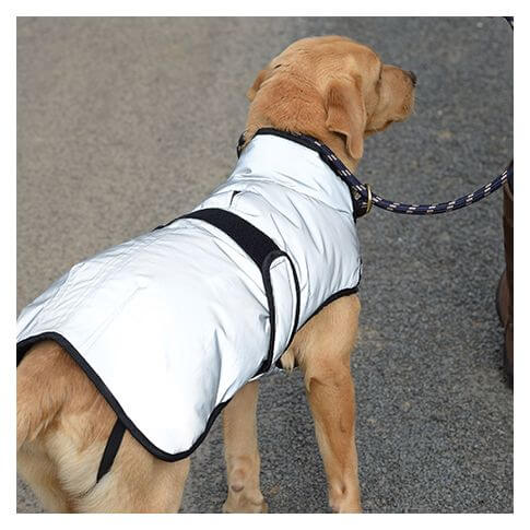 Weatherbeeta Hundemantel Reflective – Bild 3