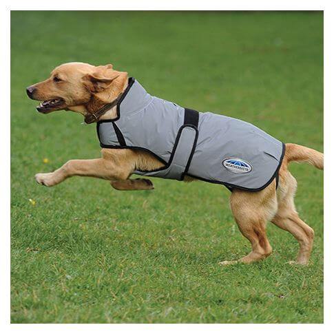 Weatherbeeta Hundemantel Reflective – Bild 2