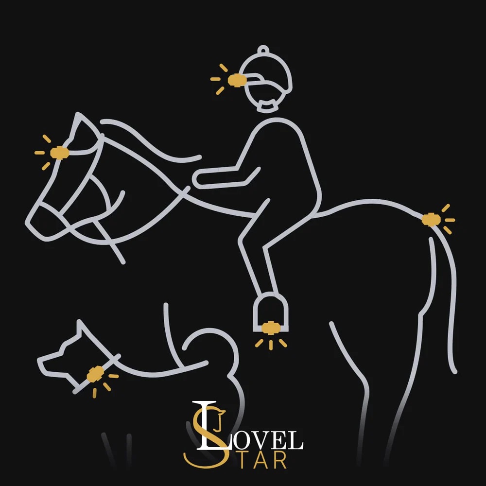 LED Spots LovelStar (4er-Set) – Bild 3