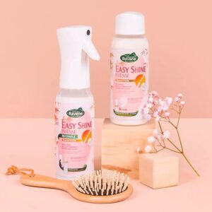 EasyShine Spray Intense 500ml