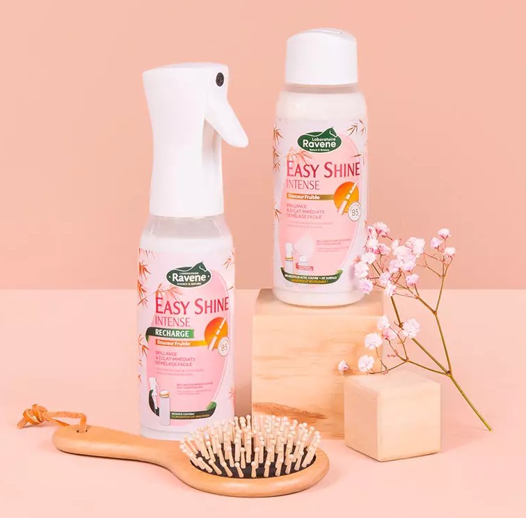 EasyShine Spray Intense 500ml