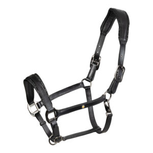 Equestro anatomisches Lederhalfter Diamant