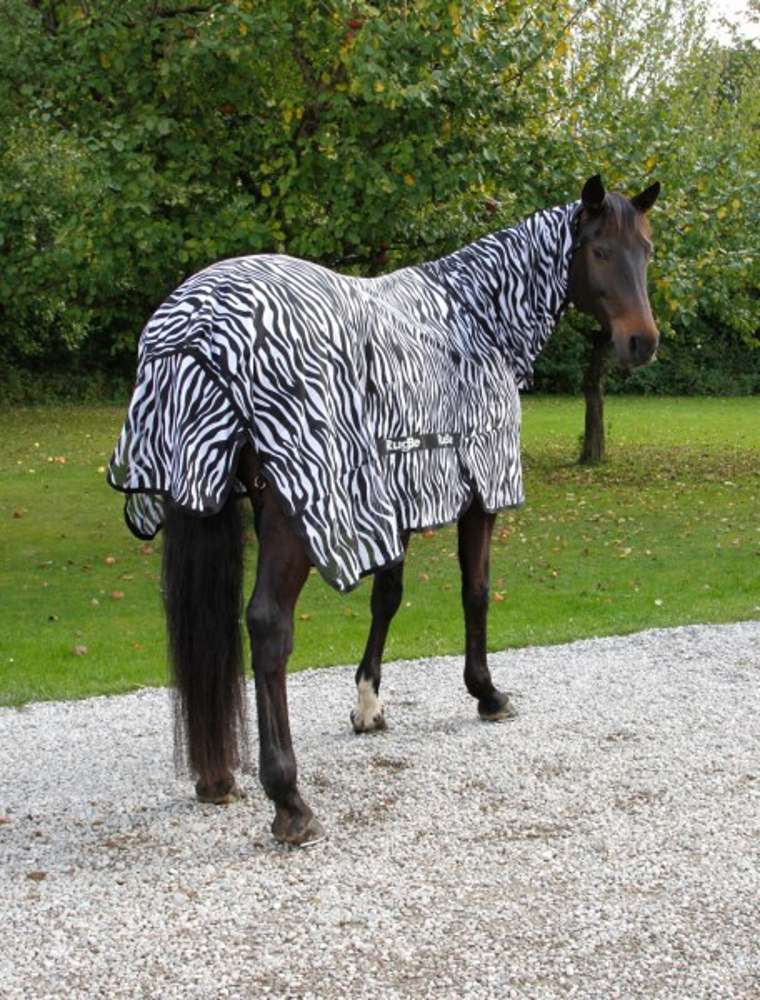 Fliegendecke Zebra inkl. Halsteil – Bild 4
