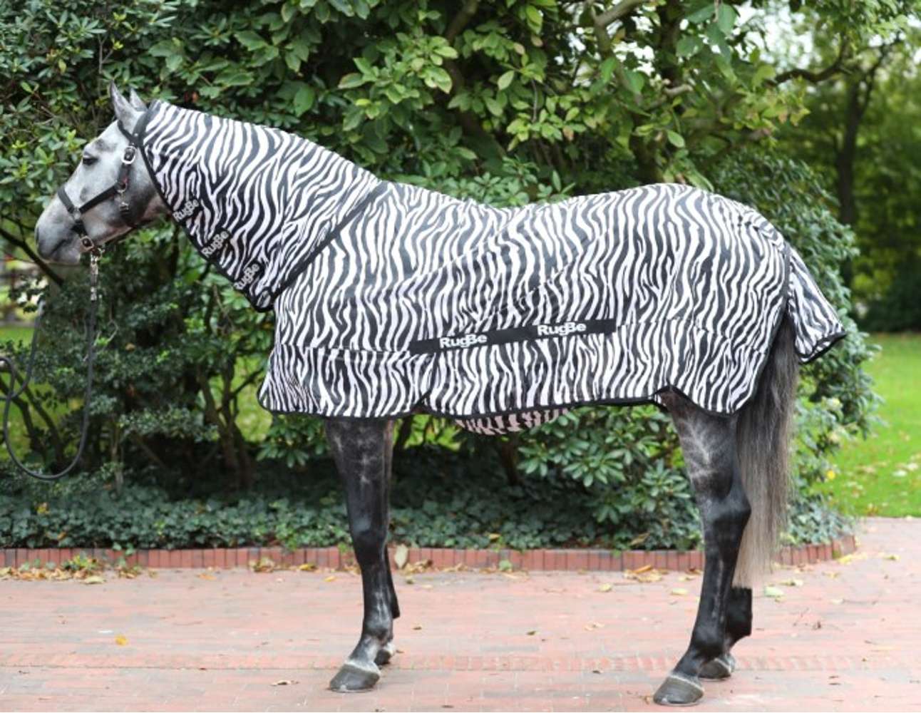 Fliegendecke Zebra inkl. Halsteil – Bild 2