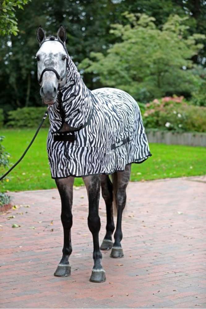 Fliegendecke Zebra inkl. Halsteil