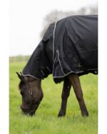 Pro Confort Dynastie Outdoordecke
