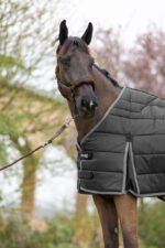 Harcour Gatsby Ergonomic Liner 100g